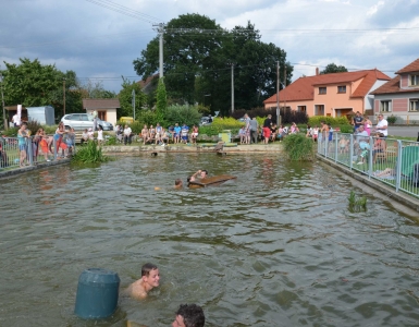 Lavka 14 357