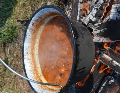 Kotlik 2015 (27)
