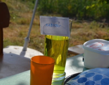 Kotlik 2015 (34)