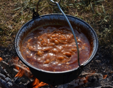 Kotlik 2015 (47)