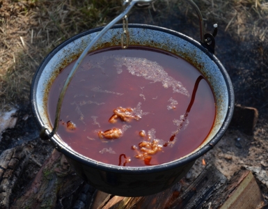 Kotlik 2015 (48)