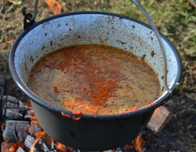 Kotlik 2015 (52)
