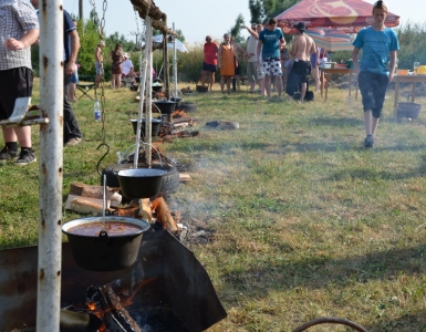 Kotlik 2015 (54)