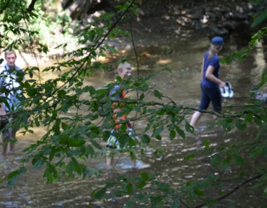 Kotlik 2015 (166)