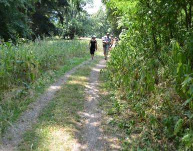 Kotlik 2015 (193)