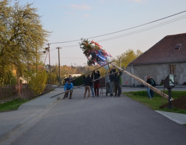 DSC_0179-1-