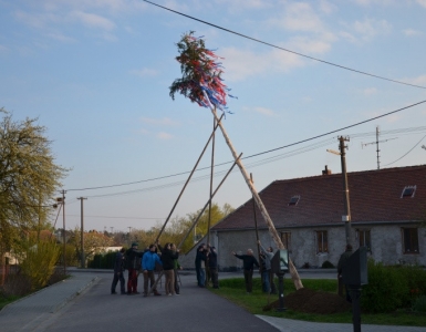 DSC_0182-1-