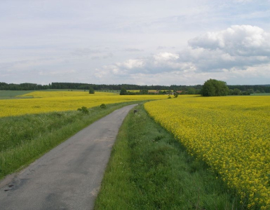 P5280052