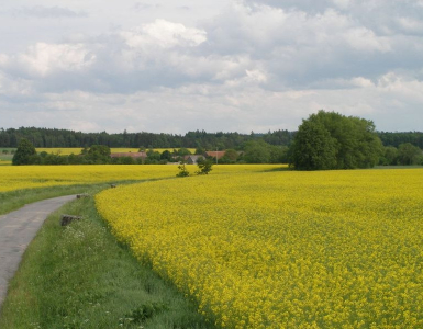 P5280053