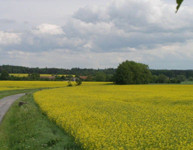 P5280054