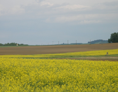 P5280055
