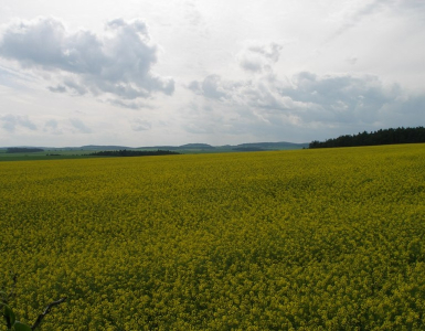 P5280056