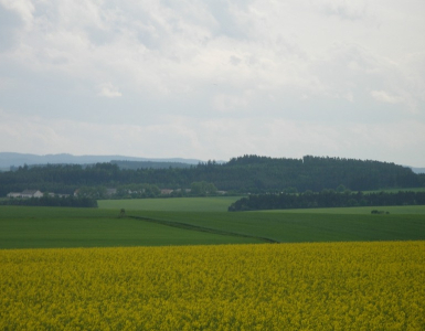 P5280058