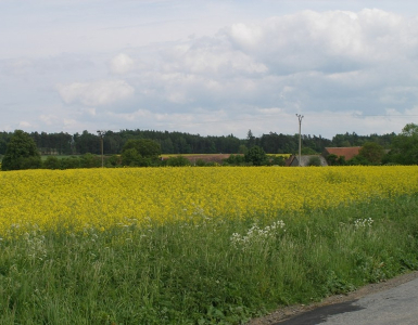 P5280060