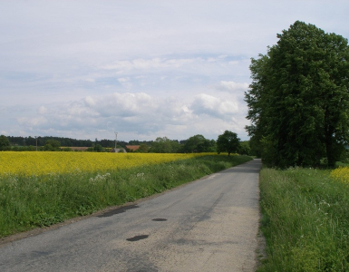 P5280061