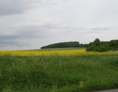 P5280062