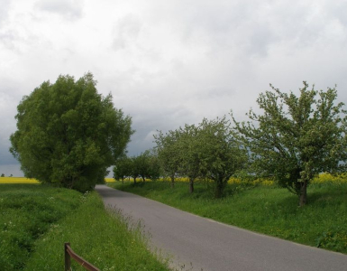 P5280063
