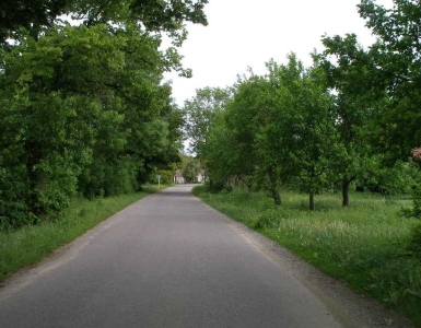 P5280064
