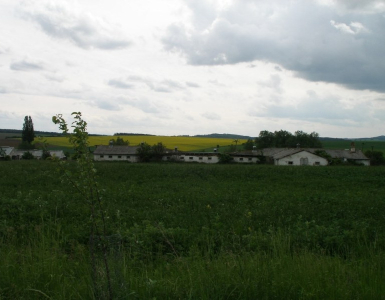 P5280091