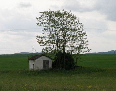 P5280100