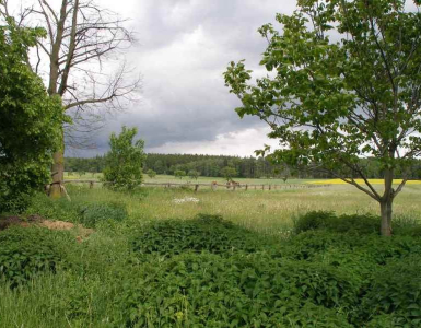 P5280104