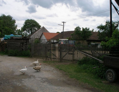 P5280106
