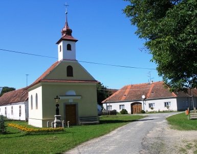 P8170013