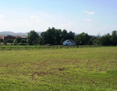 P8170019