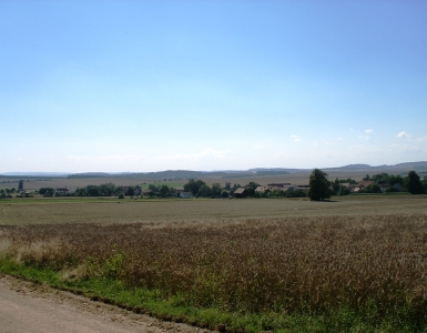 P8170021