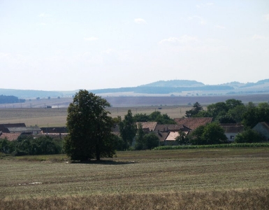 P8170025
