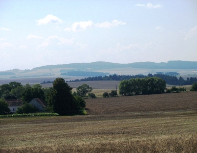 P8170026
