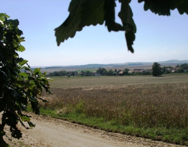 P8170027
