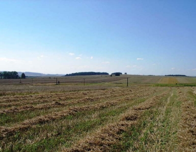 P8170051