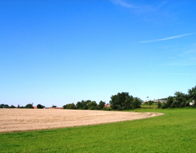 P8170055