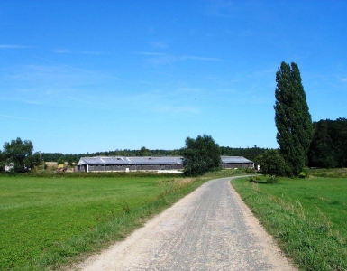 P8170056