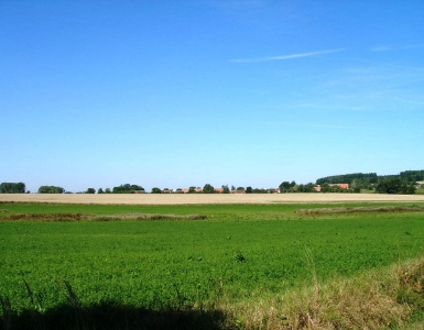 P8170057