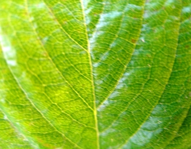 PA270070