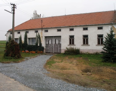 PA219005