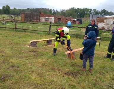 101798032_185373902792888_4627757824703725568_n