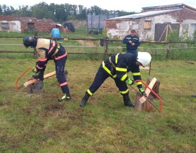 102418057_275061420305210_3678976347603992576_n