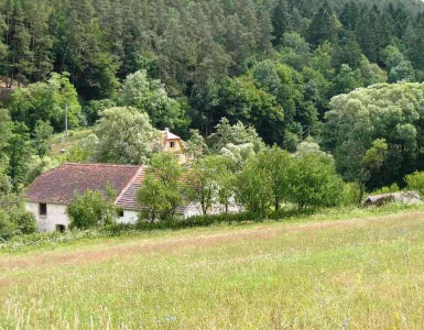P7054340