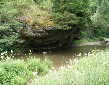 P7054349