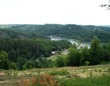 P7054384