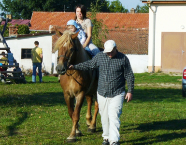 P1040784