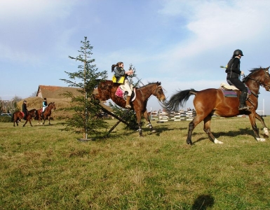PB219362