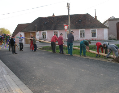 P4300533