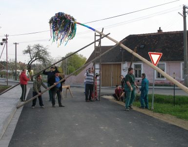 P4300546