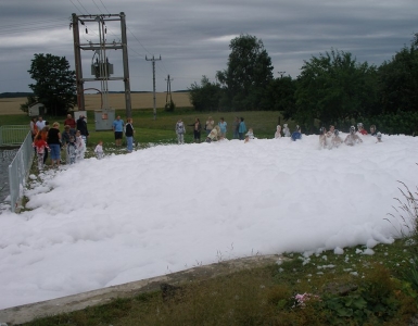P8074539