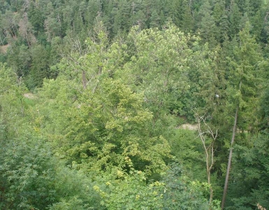 P7053679